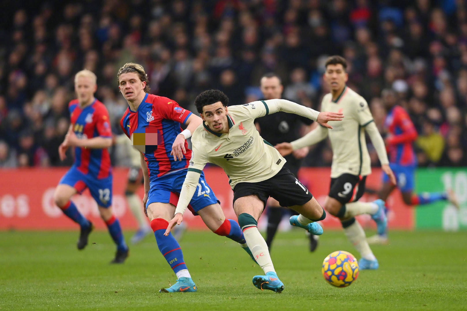 克瑙夫不仅 克瑙夫不仅